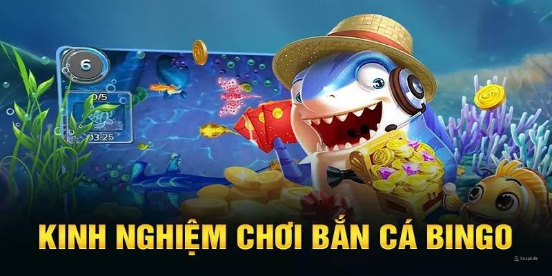 Những lưu ý quan trọng khi tham gia cá cược bắn cá online bingo